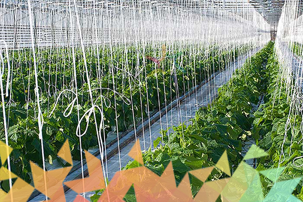 معرفی پلیمر در صنعت کشاورزی